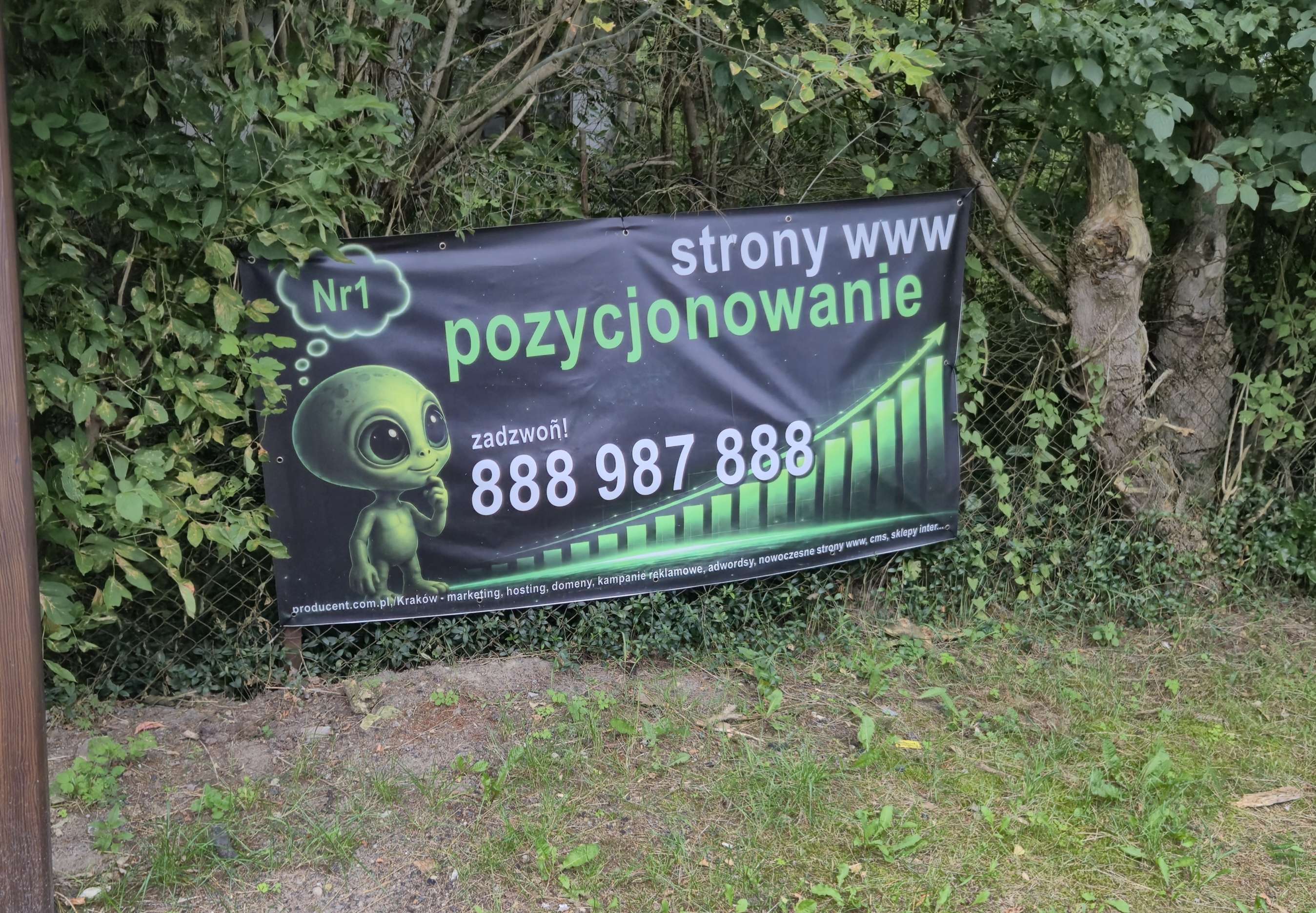 złoty numer do reklamy